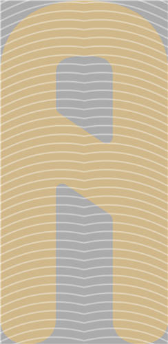 NBA and Team-QD 2188